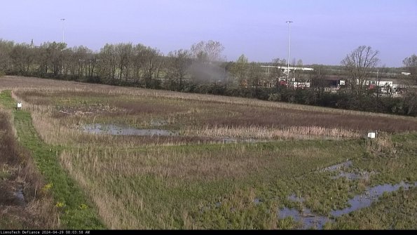 Cell 2_24-04-29_08-03-59-42