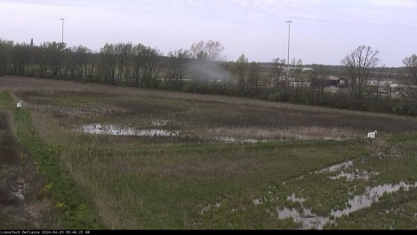 Cell 2_24-04-29_09-44-26-35