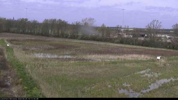 Cell 2_24-04-29_10-17-55-37