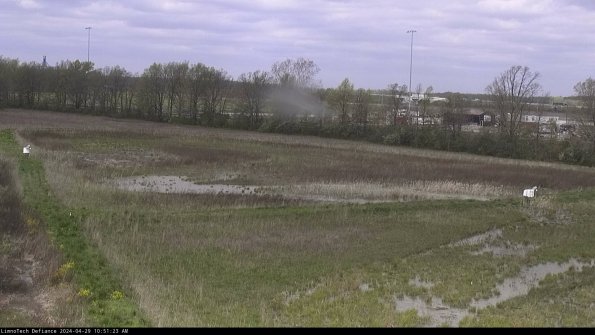 Cell 2_24-04-29_10-51-24-39