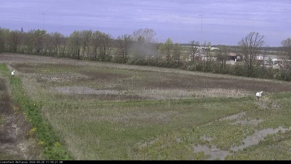 Cell 2_24-04-29_11-58-22-36