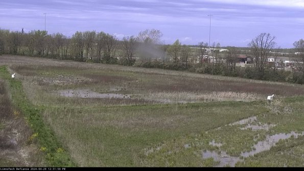 Cell 2_24-04-29_12-31-51-42