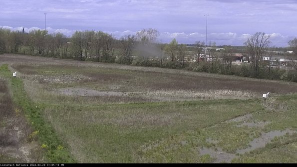 Cell 2_24-04-29_13-05-20-37