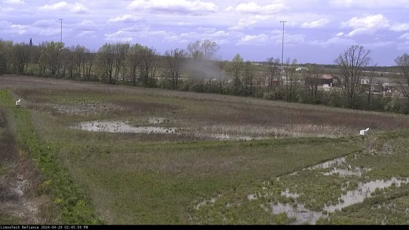 Cell 2_24-04-29_14-45-51-37