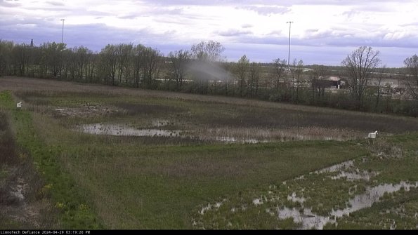 Cell 2_24-04-29_15-19-21-39