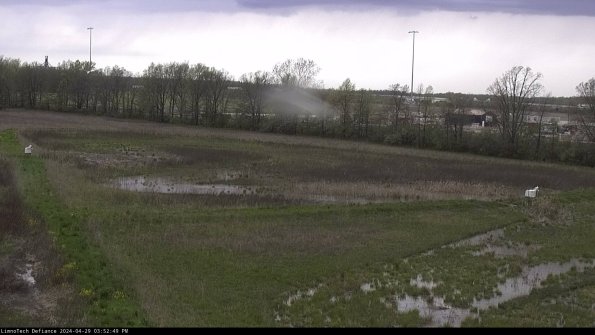 Cell 2_24-04-29_15-52-50-44