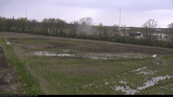 Cell 2_24-04-29_16-26-20-39