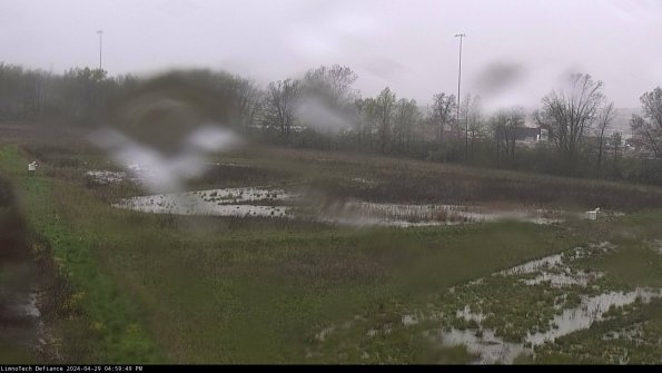 Cell 2_24-04-29_16-59-50-38