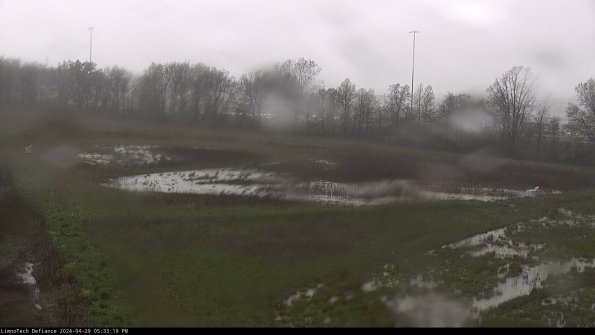 Cell 2_24-04-29_17-33-20-37