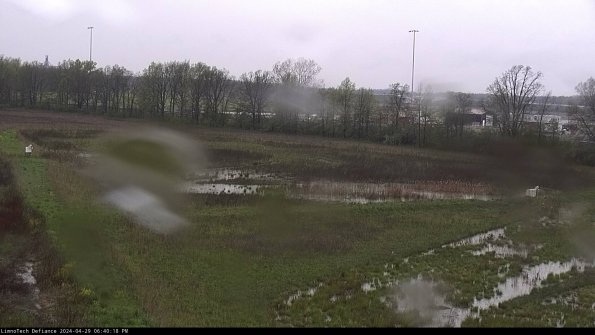 Cell 2_24-04-29_18-40-19-37