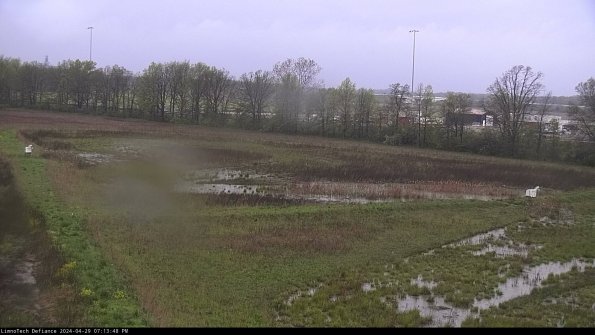 Cell 2_24-04-29_19-13-49-39