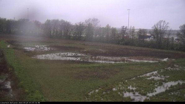 Cell 2_24-04-29_19-47-17-34