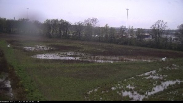 Cell 2_24-04-29_20-20-47-39