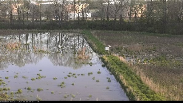 Cell 3 to 4_24-04-29_07-31-12-35