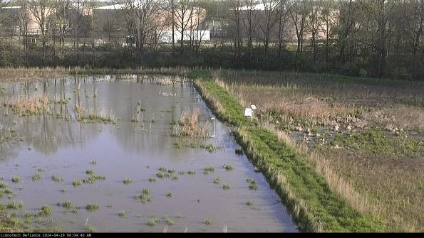 Cell 3 to 4_24-04-29_08-04-41-33