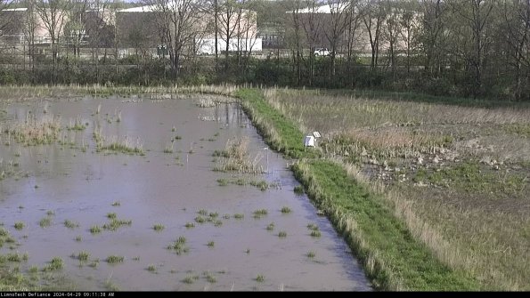 Cell 3 to 4_24-04-29_09-11-39-37