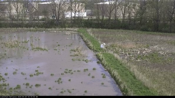 Cell 3 to 4_24-04-29_10-18-37-38