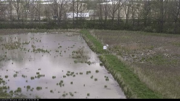 Cell 3 to 4_24-04-29_10-52-05-36