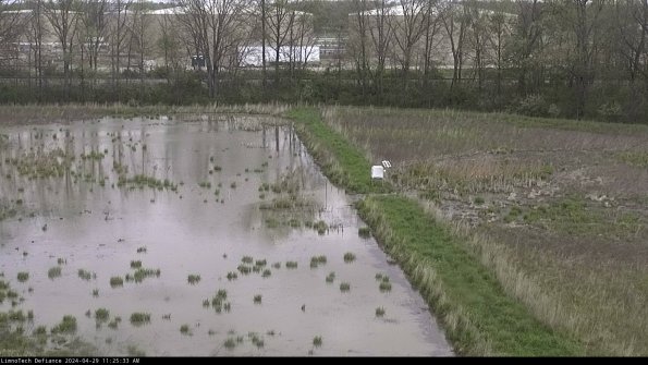 Cell 3 to 4_24-04-29_11-25-34-35