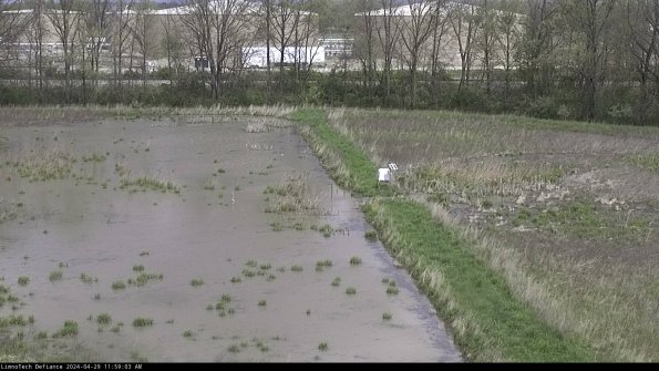 Cell 3 to 4_24-04-29_11-59-04-34