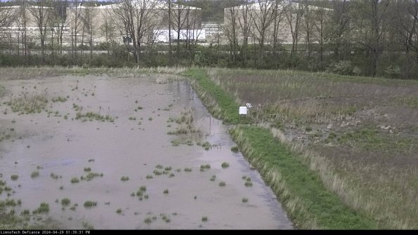 Cell 3 to 4_24-04-29_13-39-32-37