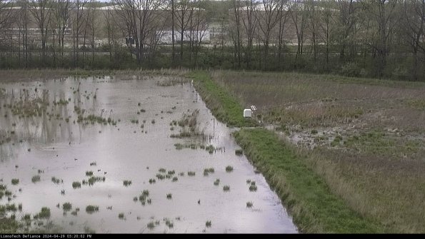 Cell 3 to 4_24-04-29_15-20-03-33