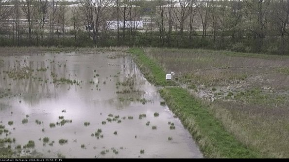 Cell 3 to 4_24-04-29_15-53-32-35