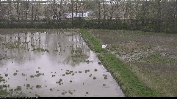 Cell 3 to 4_24-04-29_16-27-02-34