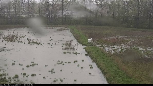 Cell 3 to 4_24-04-29_17-00-32-36