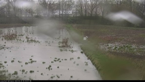 Cell 3 to 4_24-04-29_17-34-02-34