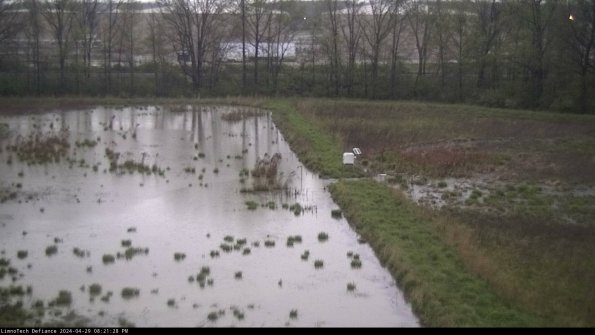 Cell 3 to 4_24-04-29_20-21-29-33