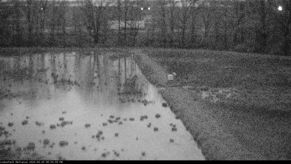 Cell 3 to 4_24-04-29_20-54-59-32