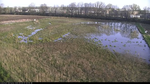 Cell 3_24-04-29_07-30-58-60