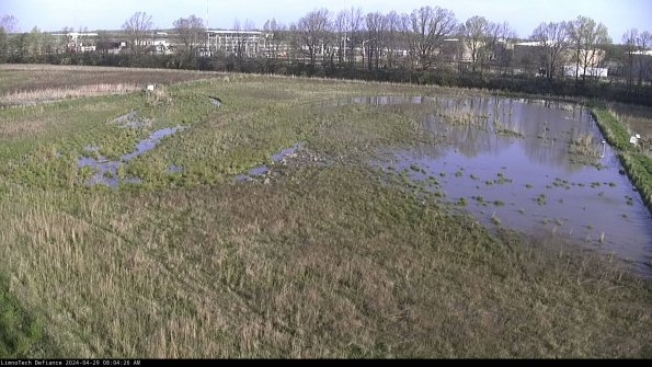 Cell 3_24-04-29_08-04-27-35