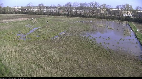 Cell 3_24-04-29_08-37-56-64