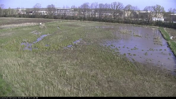 Cell 3_24-04-29_09-11-25-36