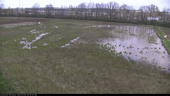 Cell 3_24-04-29_09-44-54-34