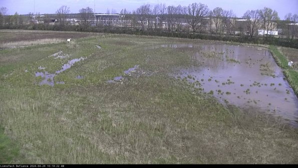 Cell 3_24-04-29_10-18-23-33