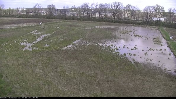 Cell 3_24-04-29_10-51-51-58