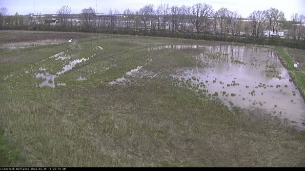 Cell 3_24-04-29_11-25-20-34