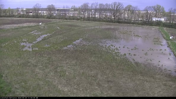 Cell 3_24-04-29_11-58-50-36