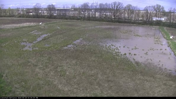 Cell 3_24-04-29_13-05-48-36