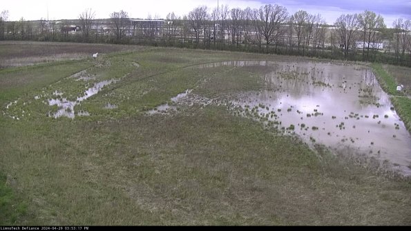 Cell 3_24-04-29_15-53-18-37