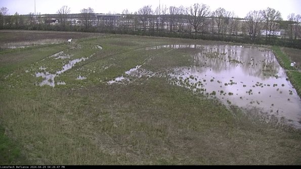 Cell 3_24-04-29_16-26-48-35