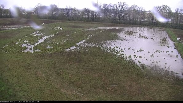 Cell 3_24-04-29_18-40-47-33