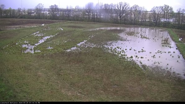 Cell 3_24-04-29_19-14-16-58