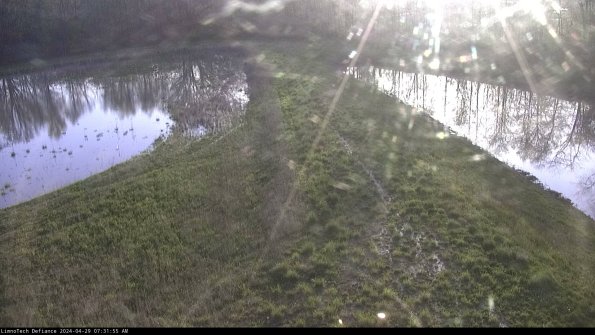 Cell 4 to Basin_24-04-29_07-31-56-36