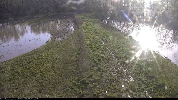 Cell 4 to Basin_24-04-29_08-05-25-38