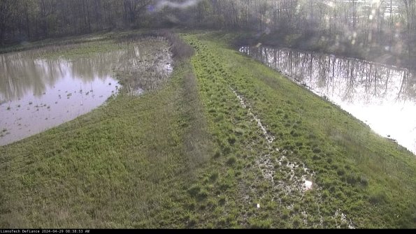 Cell 4 to Basin_24-04-29_08-38-54-36