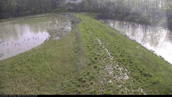 Cell 4 to Basin_24-04-29_09-12-23-35